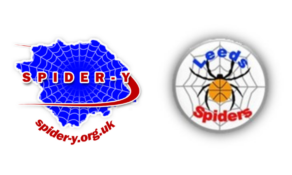 Spider-Y & Leed Spiders logo